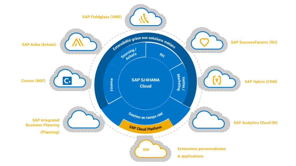S4Hana illustration web FR 1 1024x576 - Everything You Need to Know About SAP S/4HANA Conversion